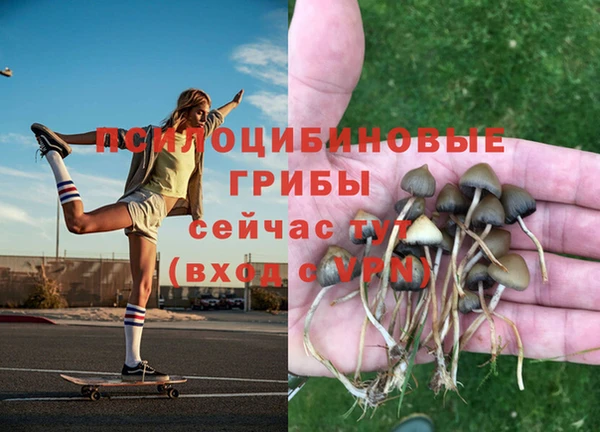 COCAINE Алексеевка