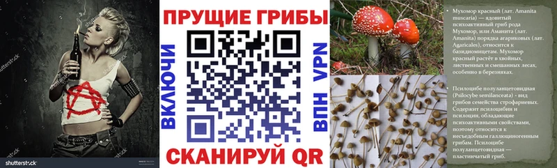 Галлюциногенные грибы прущие грибы MEGA tor Геленджик