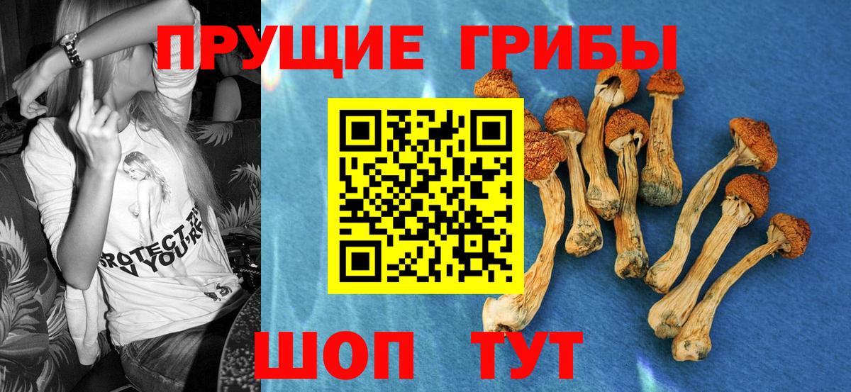 Геленджик  Псилоцибиновые грибы Psilocybine cubensis  Вход с VPN  Галлюциногенные грибы Magic Shrooms 